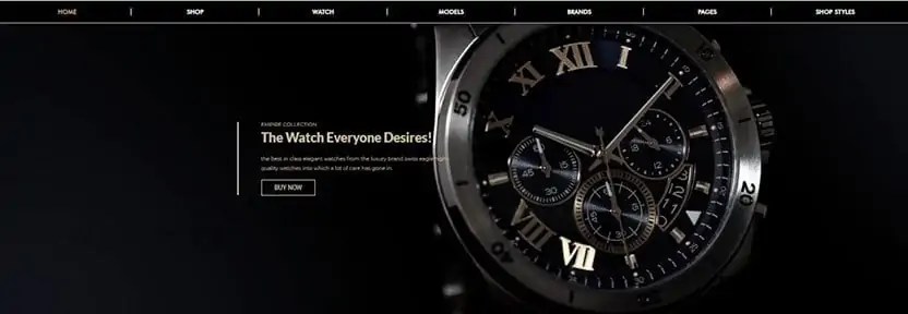 SwissEagle - Timepiece WordPress Templates